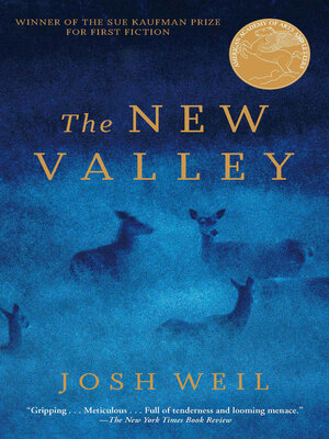 cover image of The New Valley